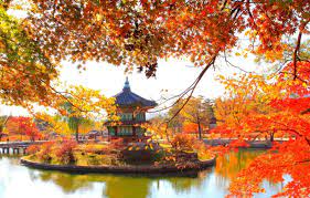 HỒ SƠ  XIN VISA DU LỊCH HÀN QUỐC